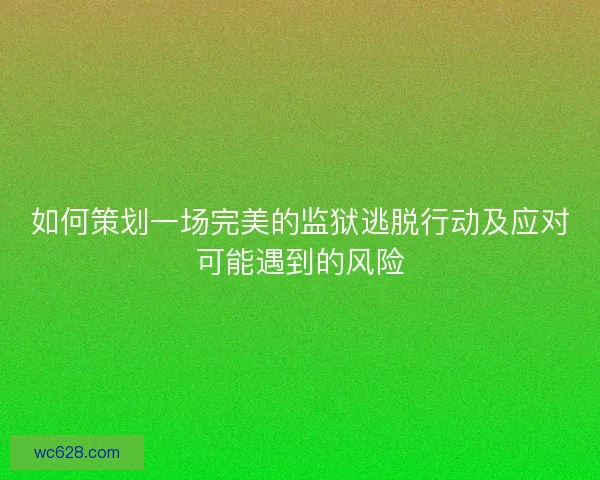 如何策划一场完美的监狱逃脱行动及应对可能遇到的风险